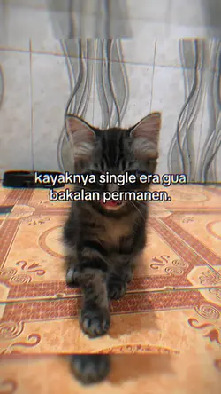 kayaknya single era