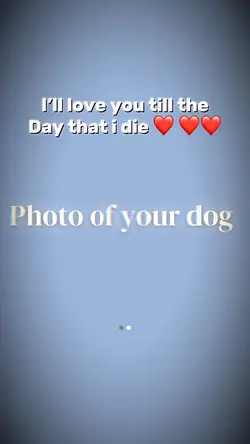 ❤️ Till Day I Die 🐶