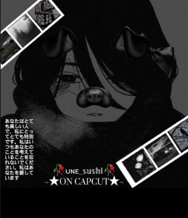Cover Picture