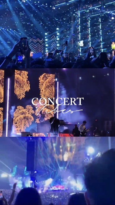 Concert vibes