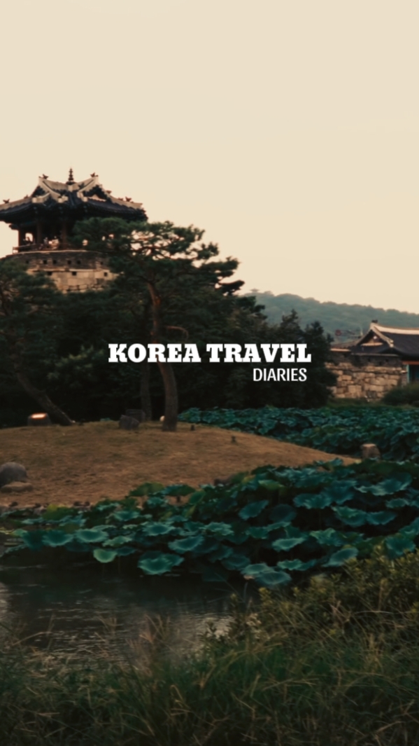korea travel vlog