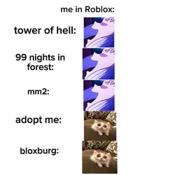 me in Roblox 