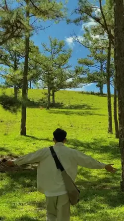 3Video 4Pics