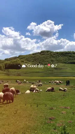 Good day 5 videos 🌷✨