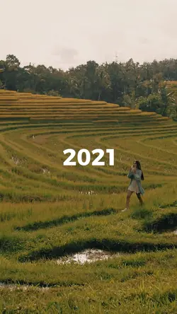2021 2022 2023 2024