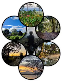 7Pic Frame Aesthetic