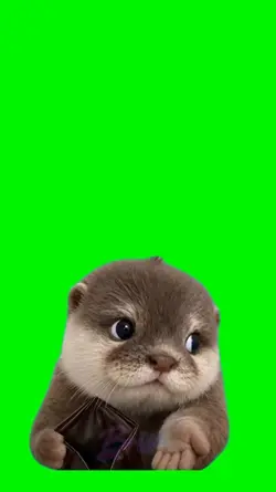Otter