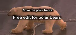 Save polar bears.