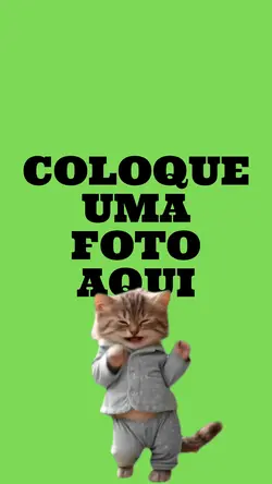 GATINHO DANÇANDO 