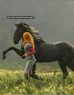 Herzenspferd 