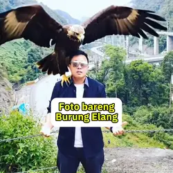 Foto bareng elang 