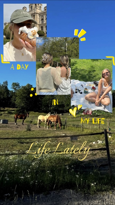 Daily Recap 4 pics