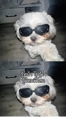 ดิว้ะ🔥‼️