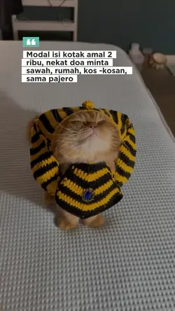 Aamiiin...