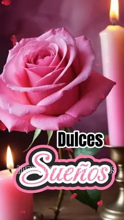 Buenasnoches