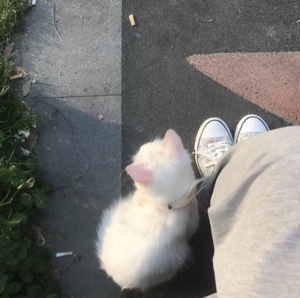 من حقي احبه ؟ 