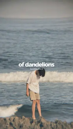 Dandelions 