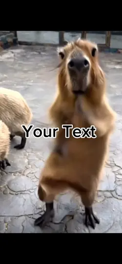 Dance meme