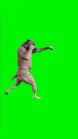 fighting dog