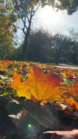 today story vlog