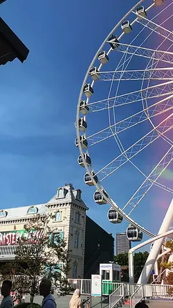 Vlog transition city