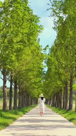slow motion