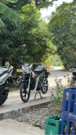 Bihon