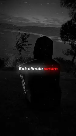 Yeni Şablon