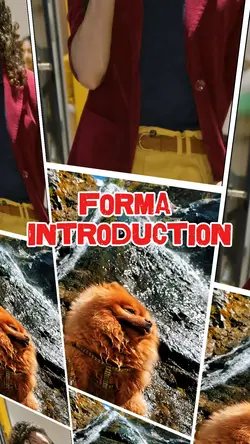 Formal Introduction