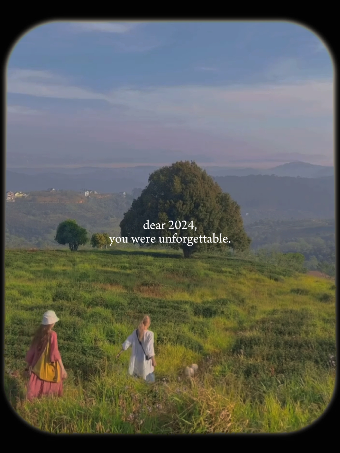 Querido 2024