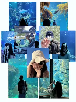 10PICT WEEKEND STORY