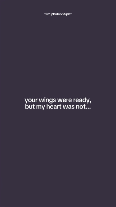 yourwingwerereadybut