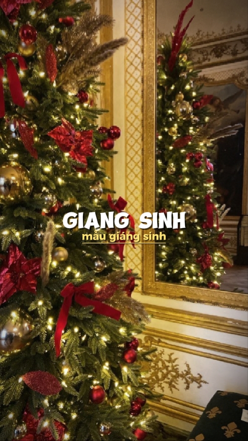Feliz Natal 2pic