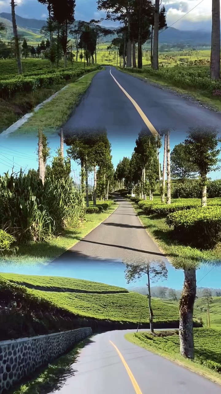 3 video collage HD 