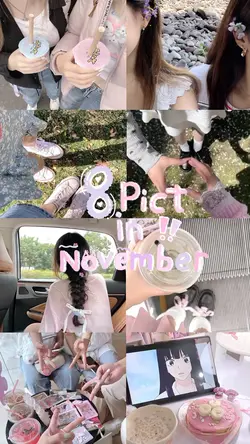 8pict november