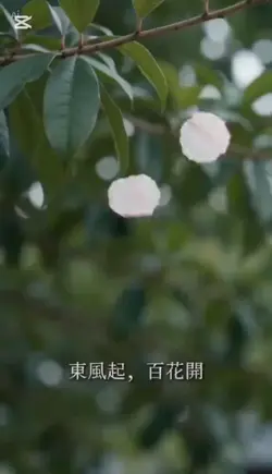 古人作詩