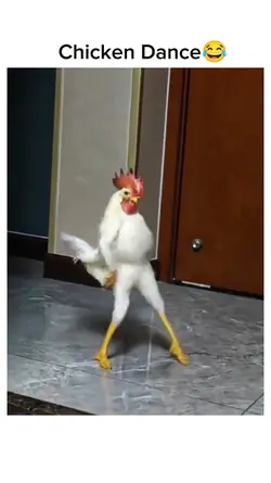 Chicken dance