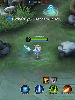 WHO'S UR TANDEM INML