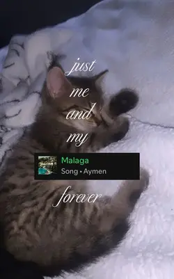 💕😍