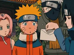 team 7 edit