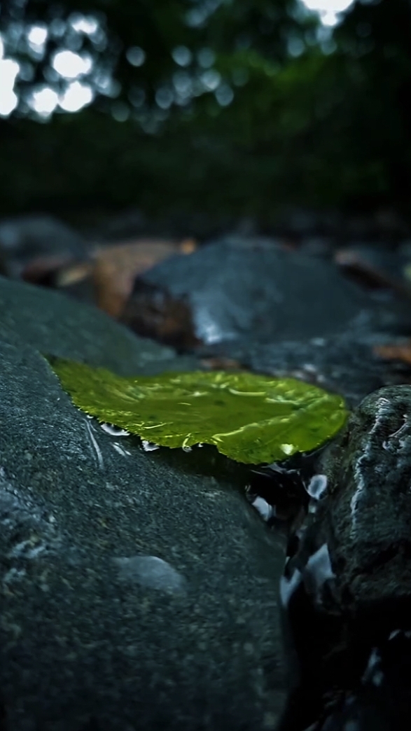 6 Videos Cinematic