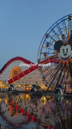 Disneyland moments