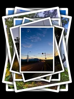 7Pic Trend Aesthetic