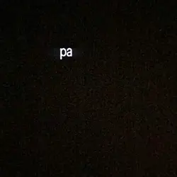 Sharkira sharkira