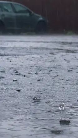 Rainy Mood 🌧️