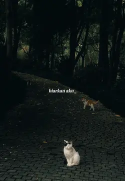 hilang ingatan