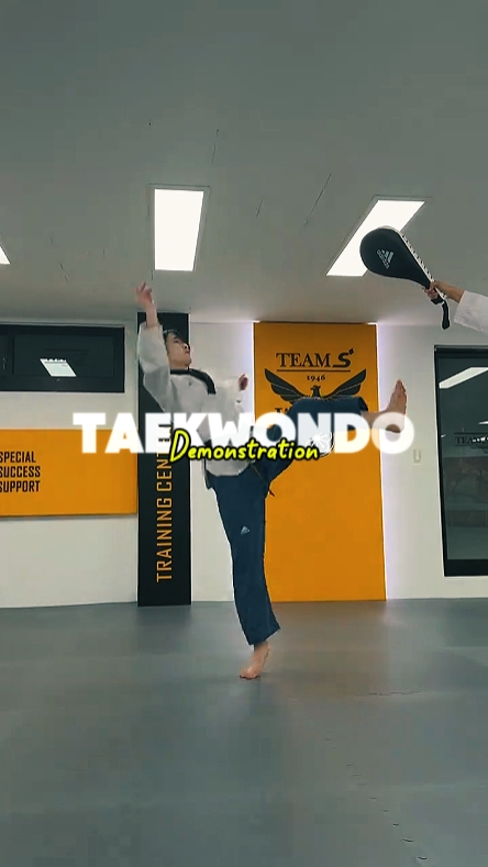 Taekwondo