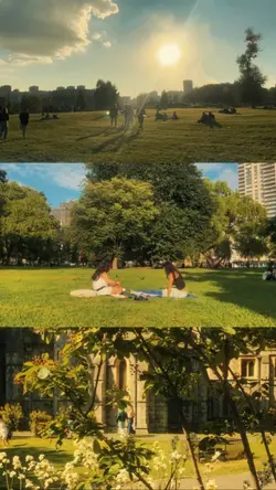 3 frame aesthetic
