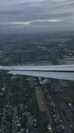 หงส์ปีกหัก 