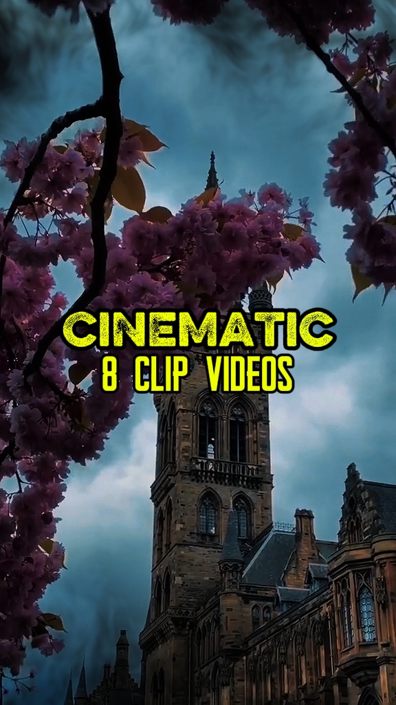 8 Clip-Videos